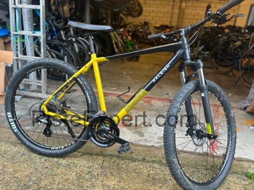 Raleigh Strada X fiche technique et avis